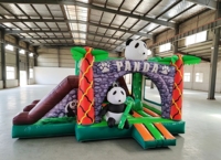 Château gonflable en PVC avec toboggan, design graphique personnalisé, pour 20 passagers, aire de jeux commerciale pour parcs intérieurs et extérieurs, garderies