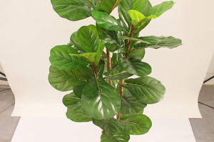 ต้นไวโอลินพลาสติก JWS3935 ใบเต็ม ต้นไม้ประดิษฐ์รักษ์โลก คุณภาพสูง ตกแต่งภูมิทัศน์ ขนาดปรับแต่งได้ สำหรับ<span class=keywords><strong>บ้าน</strong></span> สำนักงาน ภายในและภายนอกอาคาร - Product Image 5