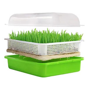 Vassoio per piantine di semi all'ingrosso vassoi per vivaio piatti di fagioli con coperchi vassoio per semi Microgreen di germinazione in plastica