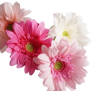 2025 vraie touche <span class=keywords><strong>fleur</strong></span> artificielle unique Gerbera marguerite fleurs en soie plantes pour la décoration intérieure Table pièce maîtresse fleurs de mariage - Product Image 5