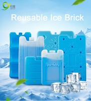 Blocs de glace réutilisables en plastique pour congélateur, briques de glace eutectiques PCM pour expédition médicale, vente en gros d'usine