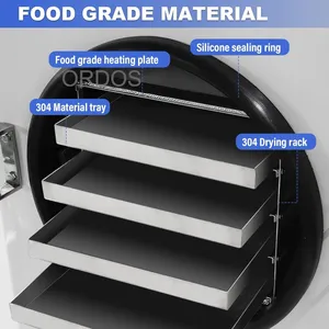 Mini máquina liofilizadora de uso doméstico, capacidad de 4-13 libras con 3 o 4 bandejas para Carambar Ginseng, equipo de servicio de productos de azúcar - Product Image 2