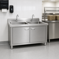 Évier double pour cantine et cafétéria, unité de lavage en acier inoxydable avec compartiment de rangement, pare-éclaboussures et deux robinets