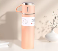 Coffret Cadeau Promotionnel d'Entreprise : Bouteille Isotherme en Acier Inoxydable Personnalisable avec Logo – Vente en Gros de Bouteilles d'Eau Isothermes Sous Vide