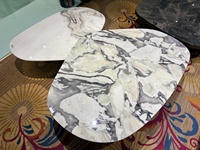 Nouvelle table basse en marbre blanc de luxe pour salon, haut de gamme et élégante, adaptée à un usage domestique.