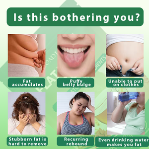 Tè Verde Biologico Dimagrante Altamente Efficace in 28 Giorni, Tè Detox per Pancia Piatta per Adulti, Confezionato in Scatola - Product Image 4