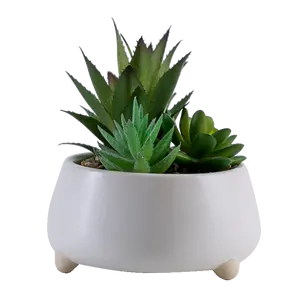 cactus de pantalla Suppliers-Suculentas de plantas artificiales de plástico de simulación de forma Irregular