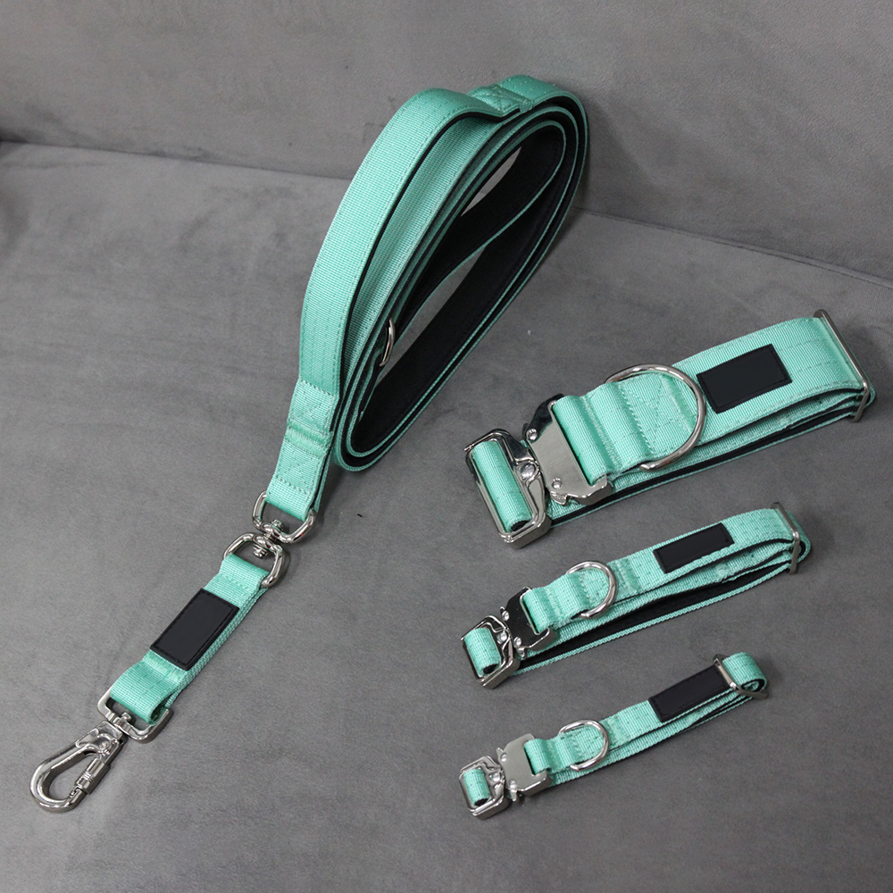 How to Choose the Best Cat Collar on Lazada: A Complete Buying Guide