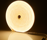 Tube en silicone flexible 2835 120 LED par mètre 12VDC IP65 étanche / Wi-Fi CRI90 Bande lumineuse LED néon de Noël