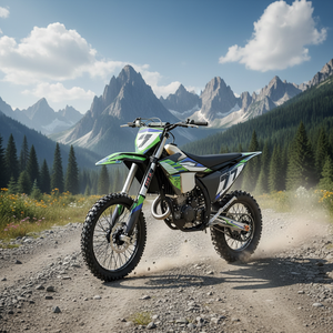 Motocicleta para Adultos GX-SENNA-YBS300 de 300cc, Refrigerada por Agua, de Cuatro Tiempos, DOHC, Monocilíndrica, con Arranque PWK34 - Product Image 2