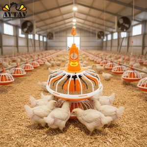 Comedero Automático de Acero para Pollos, Nuevo, para Uso Doméstico y en Granjas, Sistema de Alimentación de 36 cm de Diámetro, 1 Año de Garantía, Probado por AYTAV - Product Image 3