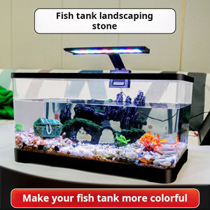 Natuurlijk Gepolijste Kasseien & Kiezels In Gemengde Kleuren-Zandgeel Bruin Groen Rood Blauw Voor Buiten Landschap Stenen Decor - Product Image 5