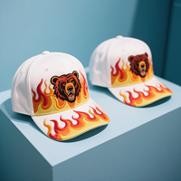 Chapeaux de baseball d'entraînement sportif en plein air OEM 5 panneaux 6 panneaux flammes brodées motif de fruits argyle à pois léopard visière incluse