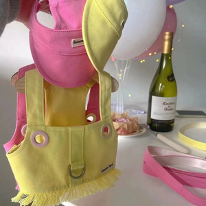 Adorabile Gilet per <span class=keywords><strong>Cani</strong></span> in Colori Pastello con Cappello e Guinzaglio - Product Image 5