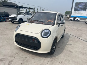 Xinhamai D21 Mini veicolo elettrico puro di fascia alta facile da usare nuovo veicolo energetico per anziani e <span class=keywords><strong>giovani</strong></span> - Product Image 3