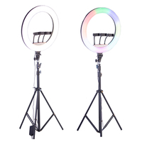 Lampu Cincin Led Rgb 18 Inci 45Cm 336 Buah Led Tiktok, Lampu Cincin Swafoto dengan 2M 2.1M Lampu Dudukan Tripod 18 Inci