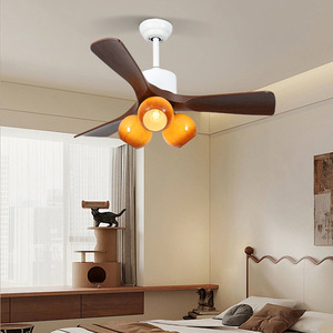 Ventilador de techo decorativo de lujo de 220V con control de cremallera ligera Fuente de alimentación de gas USB Ahorro de energía económico para uso doméstico - Product Image 4