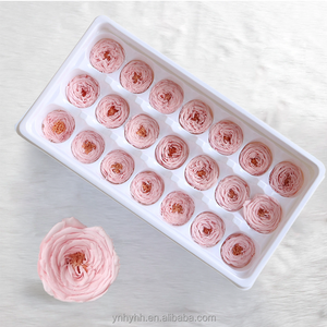 Venta Caliente, Cabezas de Rosas Preservadas de Grado A de 2-3 cm, Flores Eternas de Austin para Manualidades, Decoración del Hogar, Bodas, Navidad - Product Image 5