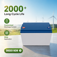 Paket Baterai Penyimpanan Energi 12V 100Ah 200Ah Lifepo4 untuk Sistem Penyimpanan Energi Surya