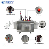 Transformateur de distribution triphasé immergé dans l'huile Pengbian S11-M 125 kVA 20 kV/22 kV Dyn11/Yyn0 Groupe vectoriel Léger