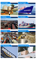 Transitaire Chinois Agent Maritime Afrique du Nord Logistique Aérienne Maritime Égypte Libye Maroc Livraison Tunisie Soudan Alger Fret