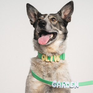 Collares personalizados para mascotas con letras de silicona, etiquetas con nombres para perros, gatos, tamaño pequeño, mediano y grande, diseño colorido y personalizable - Product Image 4