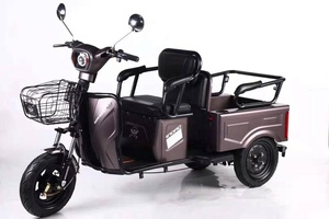 Vendita calda <span class=keywords><strong>bicicletta</strong></span> elettrica a <span class=keywords><strong>3</strong></span> <span class=keywords><strong>ruote</strong></span> per adulti Open-Type triciclo elettrico per adulti - Product Image 5