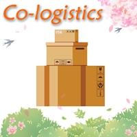 Chine Shanghai Ningbo Bulgarie FCL Fret maritime 20GP 40HQ Co-logistique Expédition rapide Meilleurs tarifs Service de conteneurs premium 24/7