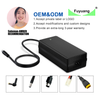Station d'alimentation portable 12V 24V Chargeur de scooter 29.4v Ul Ce Kc Saa Chargeur rapide Liion 2a 5a 8a 10a 15a 12.6v