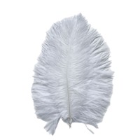 Plumes d'autruche blanches de qualité supérieure, plumes colorées pour accessoires de scène, décoration de mariage, décoration Internet