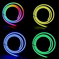 Bande lumineuse LED néon RGBIC avec télécommande, USB 5V, ensemble complet, modes multiples, synchronisation musicale, pour la décoration de salon, de fêtes et de vacances
