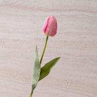 Mousse Tulipe à tête unique Fabricant réaliste Fleurs artificielles Plantes vertes Décoration de mariage Artisanat Simulation en gros