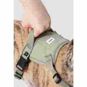 Harnais pour chien à libération rapide, anti-traction, avec gilet réfléchissant et réglable pour une promenade facile sans étranglement - Product Image 3