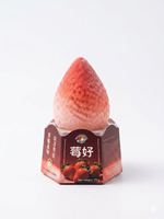 Boîte de crème glacée fruitée certifiée Halal OEM, pêche, mangue, citron, chocolat, pour la vente en gros