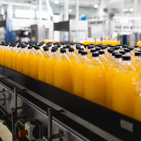 Sinaasappelsap Verwerkingsfabriek Vruchtensap Productielijn Sap Vulmachine