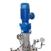 ASEM CE EAC 100L Cuve de Réaction Sous Vide en Acier Inoxydable et Polyester, à Température et Pression Contrôlées, avec Moteur à Commande Automatique PLC