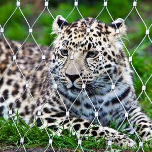 Filet anti-oiseaux pour enclos de zoo, clôture pour cages de tigres, <span class=keywords><strong>grillage</strong></span> pour volières, <span class=keywords><strong>maille</strong></span> en câble d'acier inoxydable flexible - Product Image 6