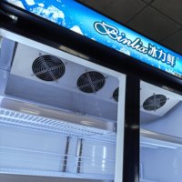 Congélateur vertical de supermarché à température unique pour glaces, 2 portes vitrées, 5 étagères, dégivrage automatique, réfrigérateur profond