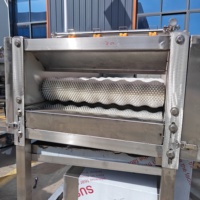 Machine de nettoyage multifonctionnelle à rouleaux parallèles pour légumes et canne à sucre, pulvérisation haute pression, machine à laver les fruits