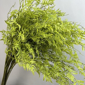 LO-1102 <span class=keywords><strong>Plantes</strong></span> artificielles en caoutchouc souple, feuilles de pampa persan, fougère et sélaginelle, pour la décoration intérieure et les arrangements floraux en salle d'exposition - Product Image 2