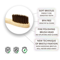 Brosse à dents OEM écologique avec poils souples, logo personnalisé acceptable, faible MOQ, prix compétitif, qualité supérieure pour usage hôtelier