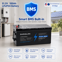 Batería de Rack para Servidor LiFePO4 de 51.2V 100Ah, 5120Wh, Almacenamiento de Energía Solar con BMS de 100A para Sistema Híbrido de Inversor Fuera de Red