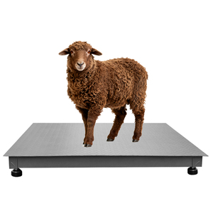 1 Tonne digitale Boden waage Hochleistungs-Vieh waage - Product Image 3