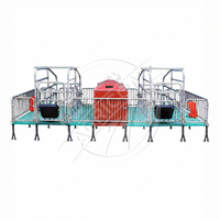 Cage de mise bas galvanisée à chaud réglable pour truies et porcelets, enclos de maternité pour petite ferme porcine