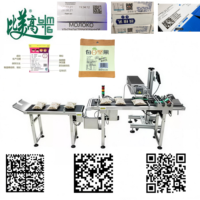 Machine de marquage laser haute précision pour la date de production et les marques de brevet, pour l'emballage de snacks, ligne de production d'emballages souples pour snacks