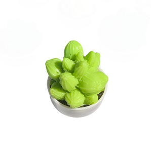 Mini Cactus en Résine Colorée, Plante Artificielle en Pot – Jouet Unisexe en Plastique Anti-Stress à Presser - Product Image 5
