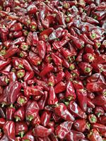 Chile Bullet Entero Seco Natural sin Aditivos con SHU Personalizado y Empaque para Exportación