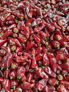 <span class=keywords><strong>Piment</strong></span> Chili Entier Naturel Séché AD avec SHU Personnalisé, Sans Additifs et Emballage d'Exportation - Product Image 5