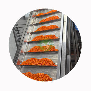 XMSD Argousier congelé, soigneusement traité pour préserver les nutriments, idéal pour les importateurs ayant besoin de produits certifiés - Product Image 6