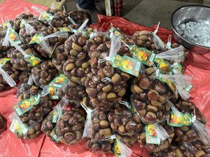 Castagne Fresche di Alta Qualità in Offerta, Ricche di Proteine e Fibre, Ideali per Snack e Cucina - Product Image 5